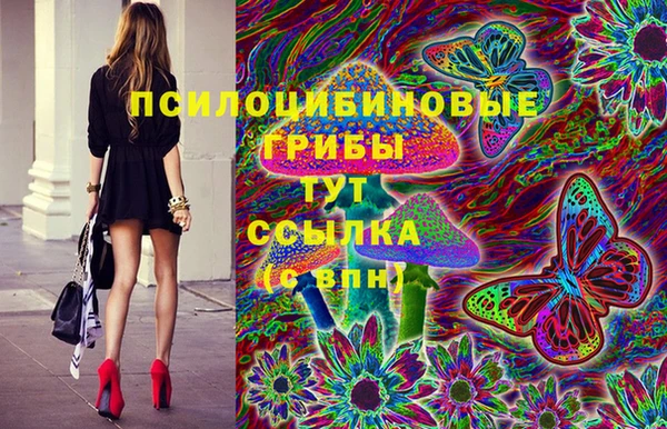 скорость Горно-Алтайск