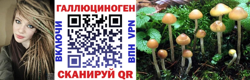 Купить закладки  Карасук  Псилоцибиновые грибы MAGIC MUSHROOMS 